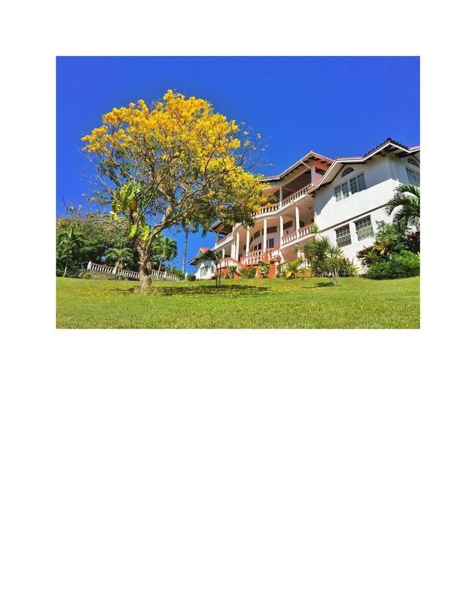 Hotel Alexandrina Kingstown Exterior foto